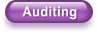 Auditing