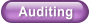 Auditing