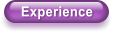 Experience